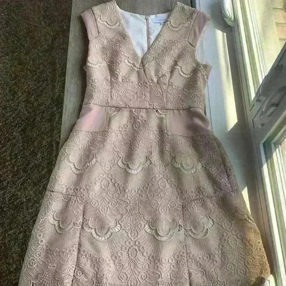 Reiss size 6 Gemina nude beautiful lace lined cocktail dress. - Picture 9 of 9